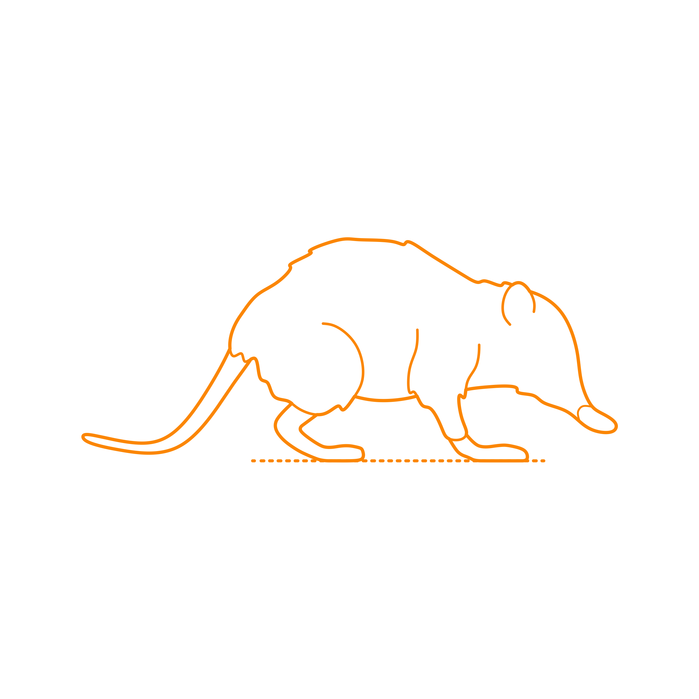Animals Eulipotyphla Hispaniolan Solenodon Editable Svg Line Art Free Vectors
